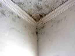 Best Asbestos and Lead Testing During Mold Inspection  in Deenwood, GA