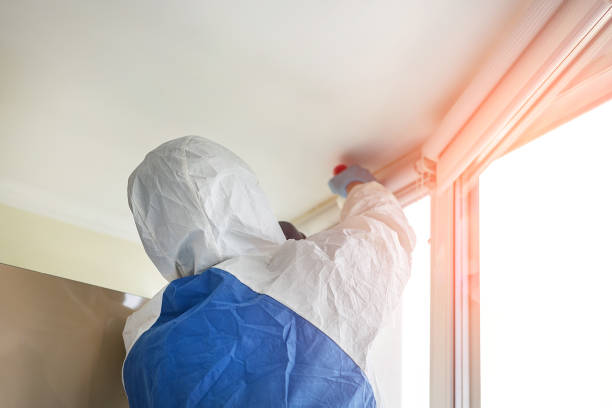 Professional Mold Inspection in Deenwood, GA