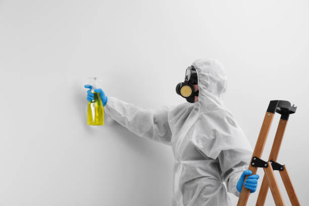 Best Mold Odor Removal Services  in Deenwood, GA